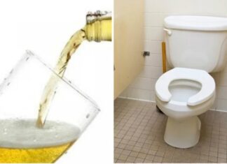 Pour Beer Down the Toilet: A Surprising Yet Effective Solution