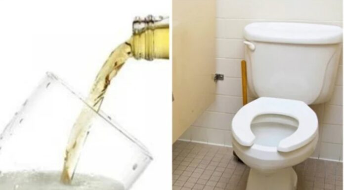 Pour Beer Down the Toilet: A Surprising Yet Effective Solution