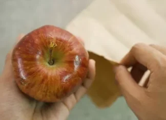 The Secret to Ripe Avocados: Transform Unripe Green Avocados into Perfectly Ripe Fruit in Just 1-2 Days