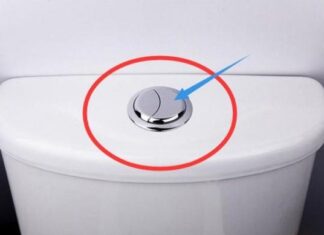 The Throne’s Dual Flush: A Costly Misunderstanding for the Unwary