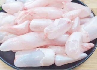 “Don’t Be a Wasteful Fisher: Unlock the Ultimate Treasure Beneath the Scales”