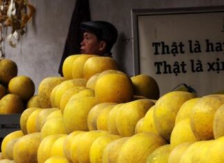 The Ultimate Guide to Choosing the Perfect Grapefruit: A Sweet, Juicy, and Perfectly Ripe Treat.