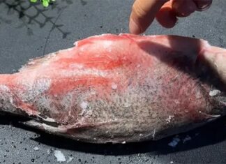 The Ultimate Guide to Quick and Easy Fish Defrosting: A New Technique to Skip the Soak