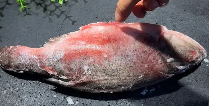 The Ultimate Guide to Quick and Easy Fish Defrosting: A New Technique to Skip the Soak