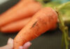 Should You Choose Large or Small Carrots When Shopping?