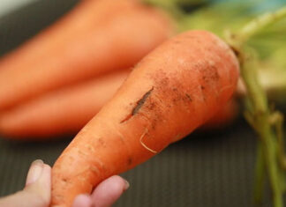 Should You Choose Large or Small Carrots When Shopping?