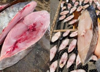 The Ultimate Superfood: A Tasty, Affordable, and Nutritious Catch