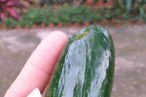 The Ultimate Guide to Mastering the Art of Butter: Unveiling the Secrets to Discerning Young and Aged Butter Like a Connoisseur