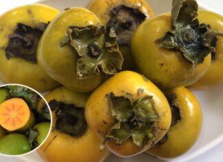 How to Pick Crisp Sweet Soaked Strawberries That Aren’t Bitter