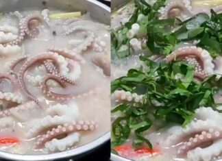 “The Ultimate Guide to Achieving the Perfect Crispy, Tender, and Flavorful Marinated Octopus at Home”