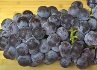 “The Ultimate Guide to Washing Grapes: Rinse Away the Grit and the Wax for a Safe and Healthy Snack”