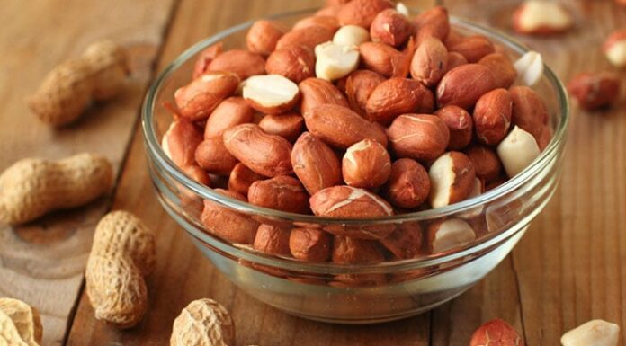 The Green Thumb’s Guide to Growing Lush, Vibrant Plants from Peanuts: A Simple, Effective Method for All.