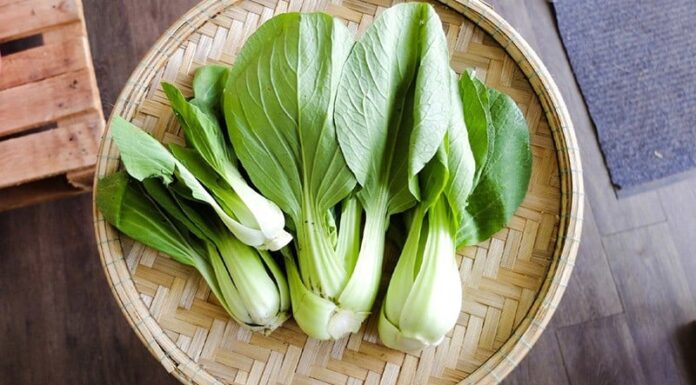 The Ultimate Guide to Calcium-Rich Vegetables: 7 Surprising Sources That Outshine Dairy