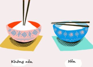 “Table Manners: The Wisdom Behind the Adage”