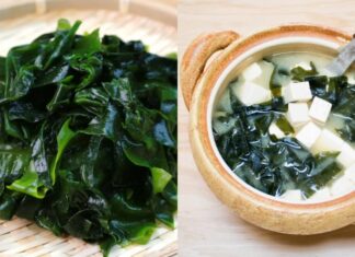 The Ultimate Guide to Cooking Seaweed Soup: How to Get Rid of the Fishy Smell