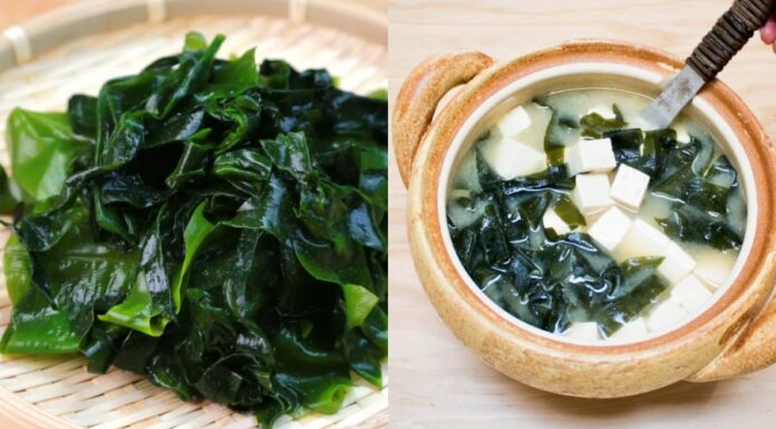 The Ultimate Guide to Cooking Seaweed Soup: How to Get Rid of the Fishy Smell