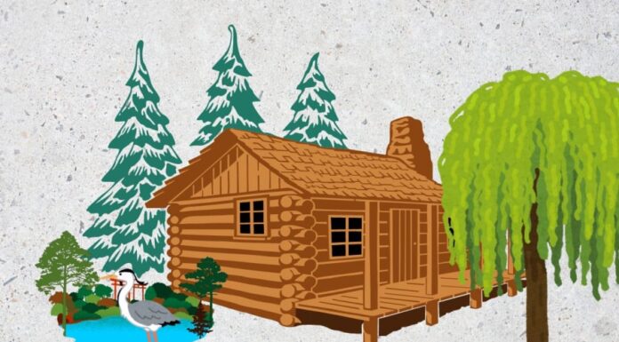 The Ancient Adage: Avoid the Yang Tree at the Grave and the Yin Tree at Home. What’s the Significance?