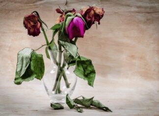 The Three Items on the Altar That Need to Be Removed After the Full Moon Ceremony for Prosperity