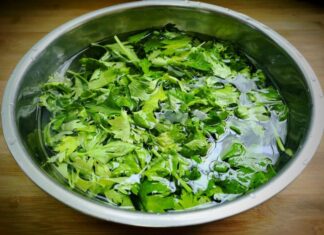 The Magic Tree: A Tasty Treasure.