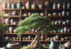 Attracting Customers and Overcoming Bad Luck with Feng Shui Plants