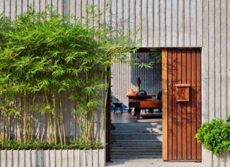 “The Lucky Bamboo: Unlocking Prosperity with Strategic Plant Placement”