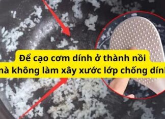 The Little Bumps on Rice Cooker Paddles: Unveiling a Surprising Utility That 90% of People Overlook