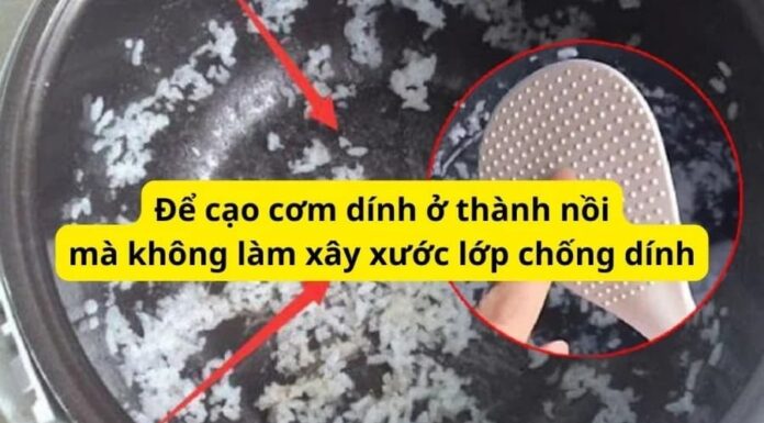 The Little Bumps on Rice Cooker Paddles: Unveiling a Surprising Utility That 90% of People Overlook