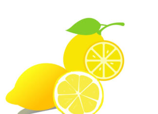 The Ultimate Guide to Eliminating Lingering Food Odors: Freshen Up Your Home with These Easy Tips and Tricks