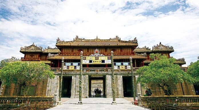 Exploring the Champion’s Homeland: A Journey Through Vietnam’s Breathtaking Landscapes