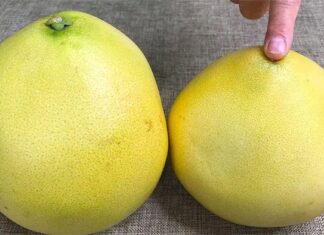 The Ultimate Guide to Choosing the Sweetest Grapefruits: Uncover the Secret to a Perfect Pick