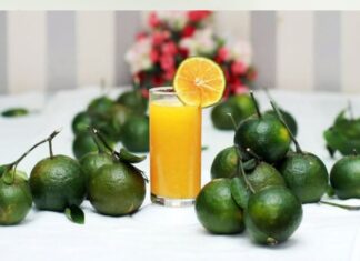 The Ultimate Guide to Picking the Juiciest Oranges: A Farmer’s Tips for the Perfect Fruit