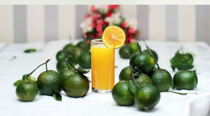 The Ultimate Guide to Picking the Juiciest Oranges: A Farmer’s Tips for the Perfect Fruit