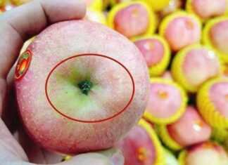 The Ultimate Guide to Apple-Picking: 5 Tips for Choosing the Juiciest Apples