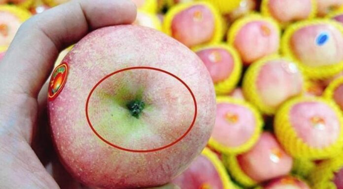 The Ultimate Guide to Apple-Picking: 5 Tips for Choosing the Juiciest Apples