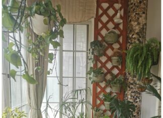 The Millennial Wife Builds a Fish Pond on Her Balcony, Her Husband is Captivated by the Ever-Changing Scenery.