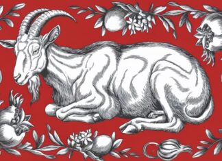 The Power of October: 3 Zodiac Signs Blessed with Career Success and Fortune