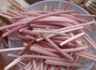 Delicious and Easy-to-Make Dishes with Lotus Stem