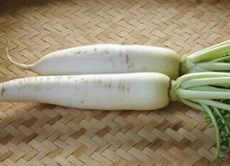 Should You Buy Large or Small Beetroots?