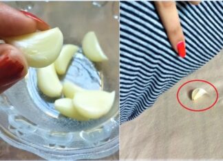 The Magical Bulb: Unlocking the Power of Garlic for a Healthy Winter Slumber