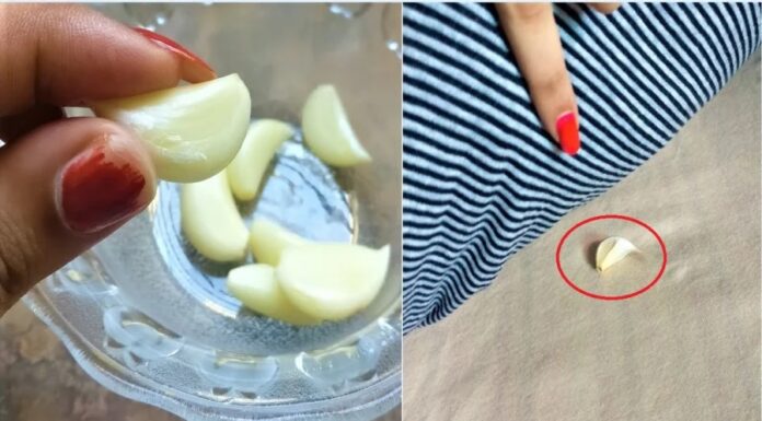 The Magical Bulb: Unlocking the Power of Garlic for a Healthy Winter Slumber