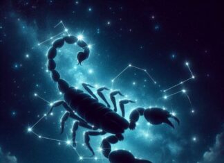 The End of 2024 With a Bang: Top 4 Zodiac Signs That Will Be Rolling in Dough and Soaring High