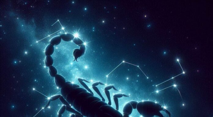 The End of 2024 With a Bang: Top 4 Zodiac Signs That Will Be Rolling in Dough and Soaring High