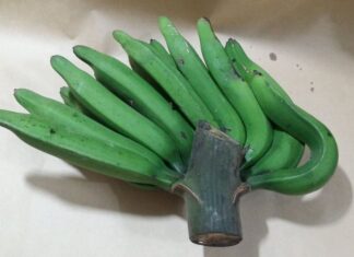 The Forgotten Fruit: A Delicious Discovery for Food Connoisseurs.