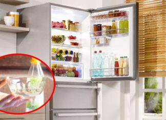 Why Keep a Bowl of Vinegar in the Fridge? Unveiling the Astonishing Benefits that Every Household Needs to Know