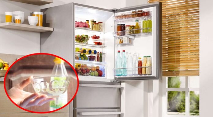Why Keep a Bowl of Vinegar in the Fridge? Unveiling the Astonishing Benefits that Every Household Needs to Know