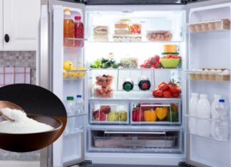 Why Put a Bowl of Salt in Your Fridge?