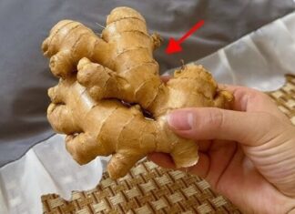 The Magic of Ginger: A Healthy Habit for All.