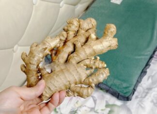 The Magic of Ginger: Unlocking Health Benefits for a Better Night’s Sleep