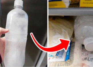 The Ultimate Refrigerator Hack: Be Prepared, Save Money.