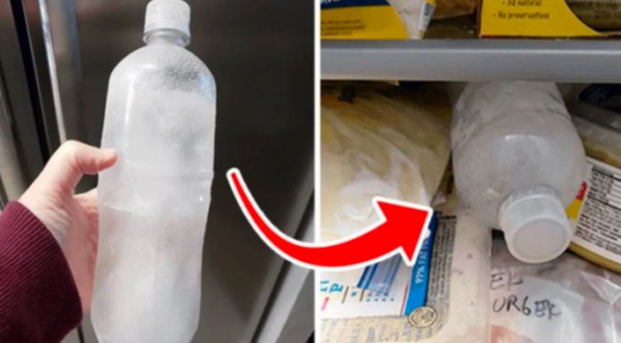 The Ultimate Refrigerator Hack: Be Prepared, Save Money.